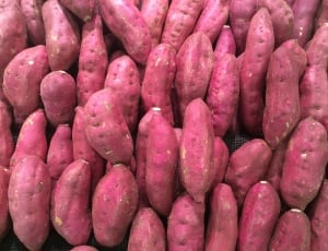 sweet potato lot thumbnail