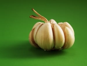 whole garlic thumbnail