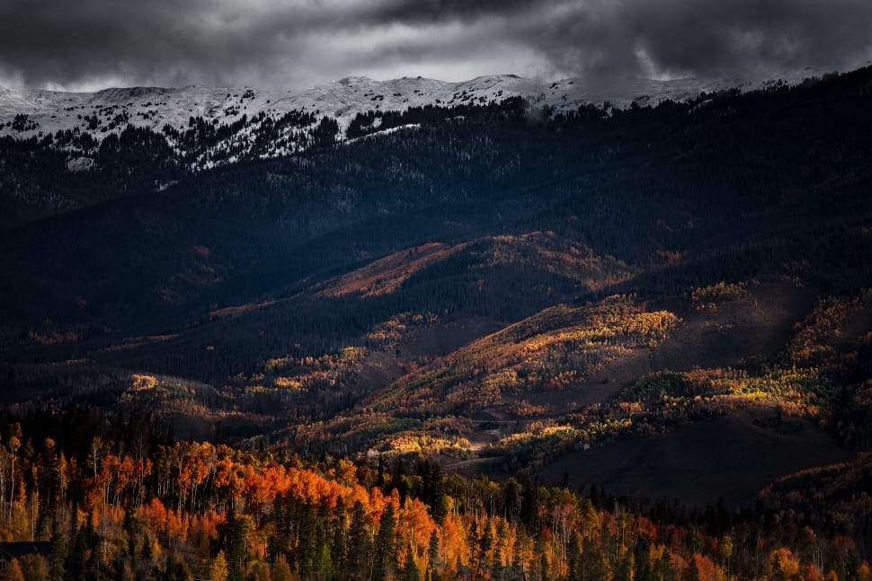 landscape photo of mountains and trees phogography preview