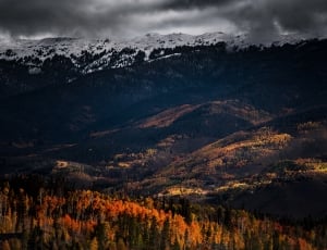 landscape photo of mountains and trees phogography thumbnail
