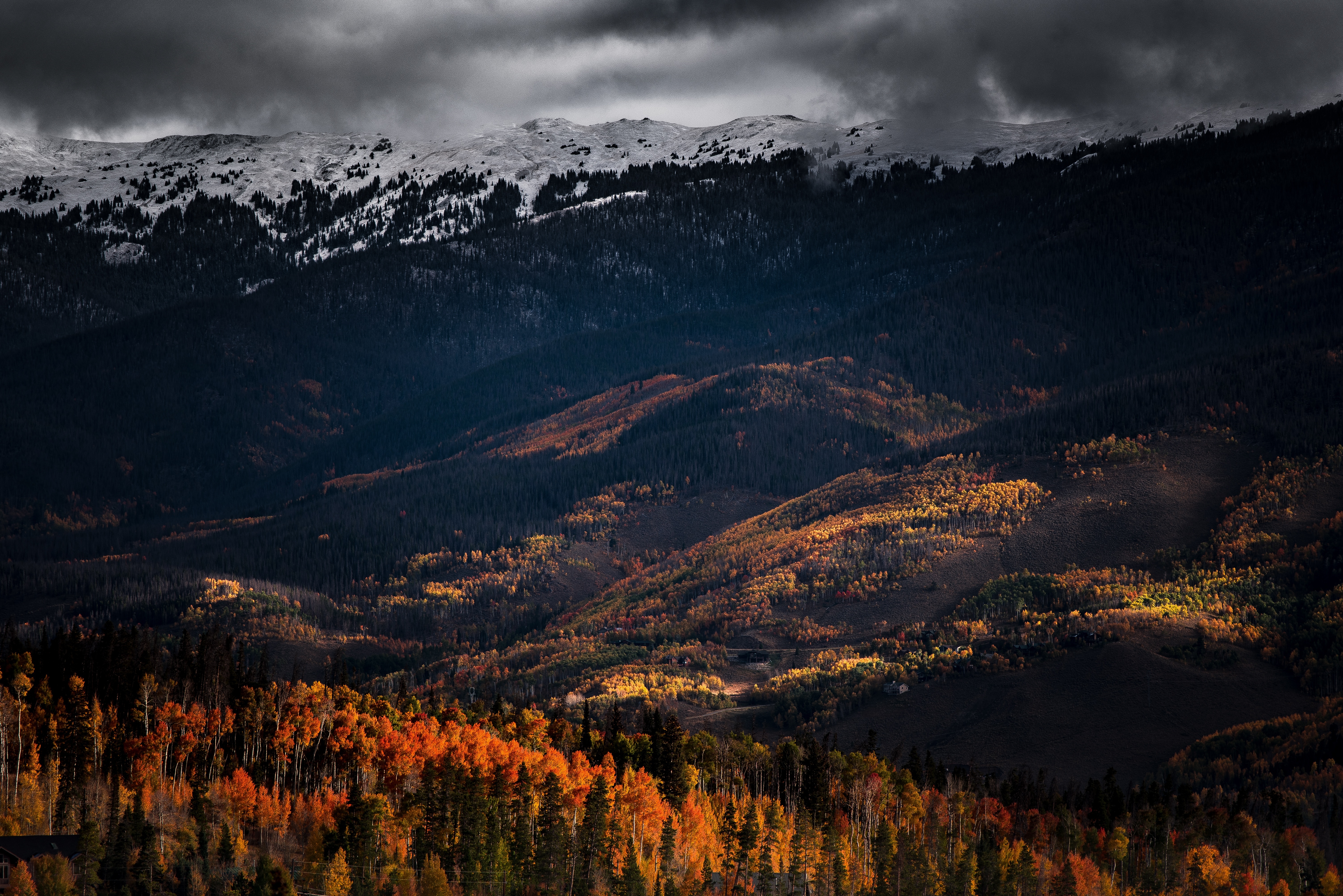 landscape photo of mountains and trees phogography