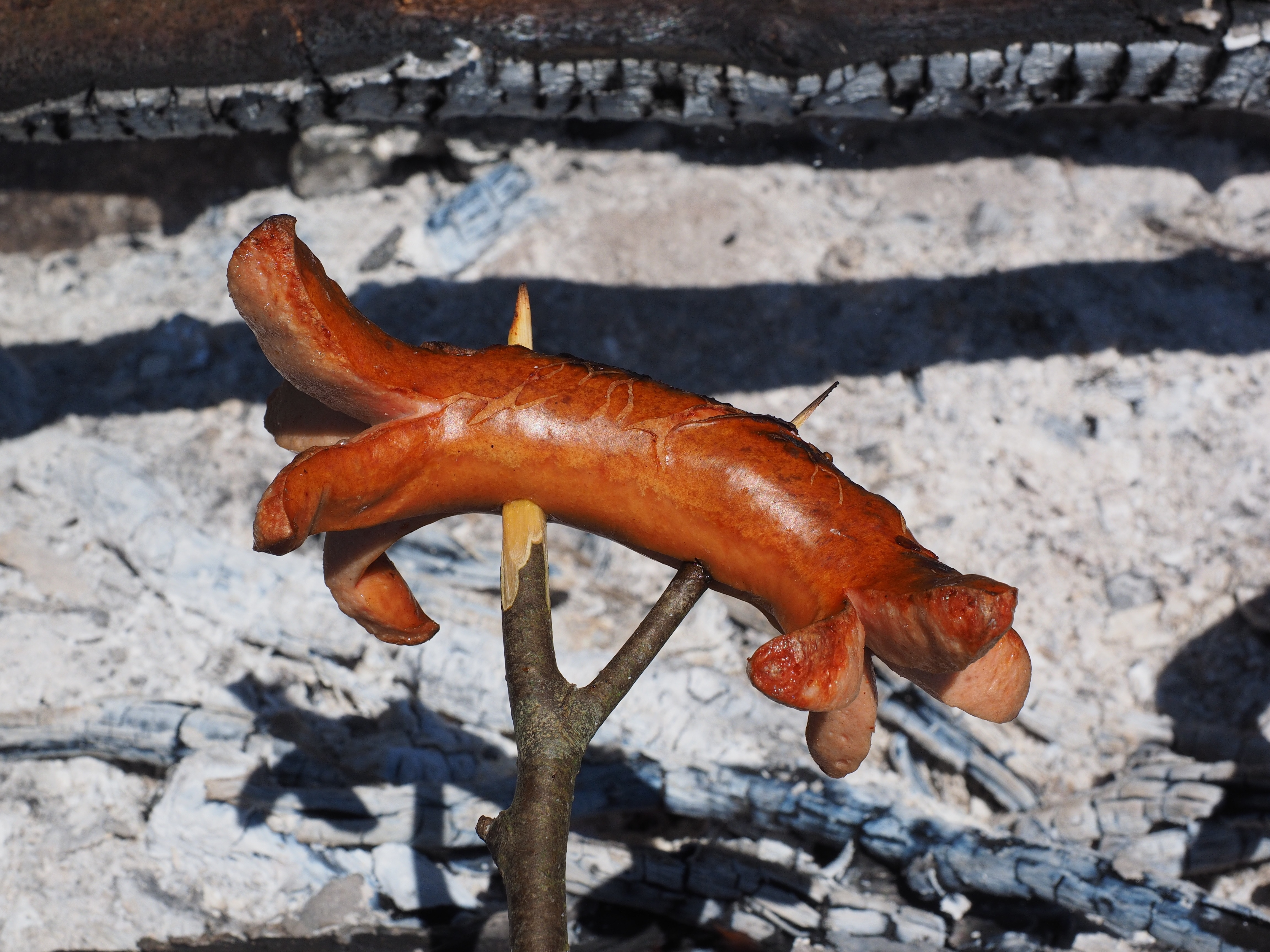 hotdog on brown wooden stick