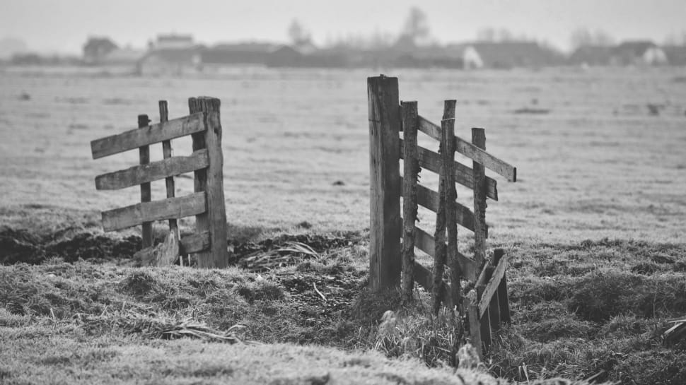 grayscale photo of wooden fence preview