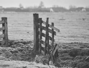 grayscale photo of wooden fence thumbnail