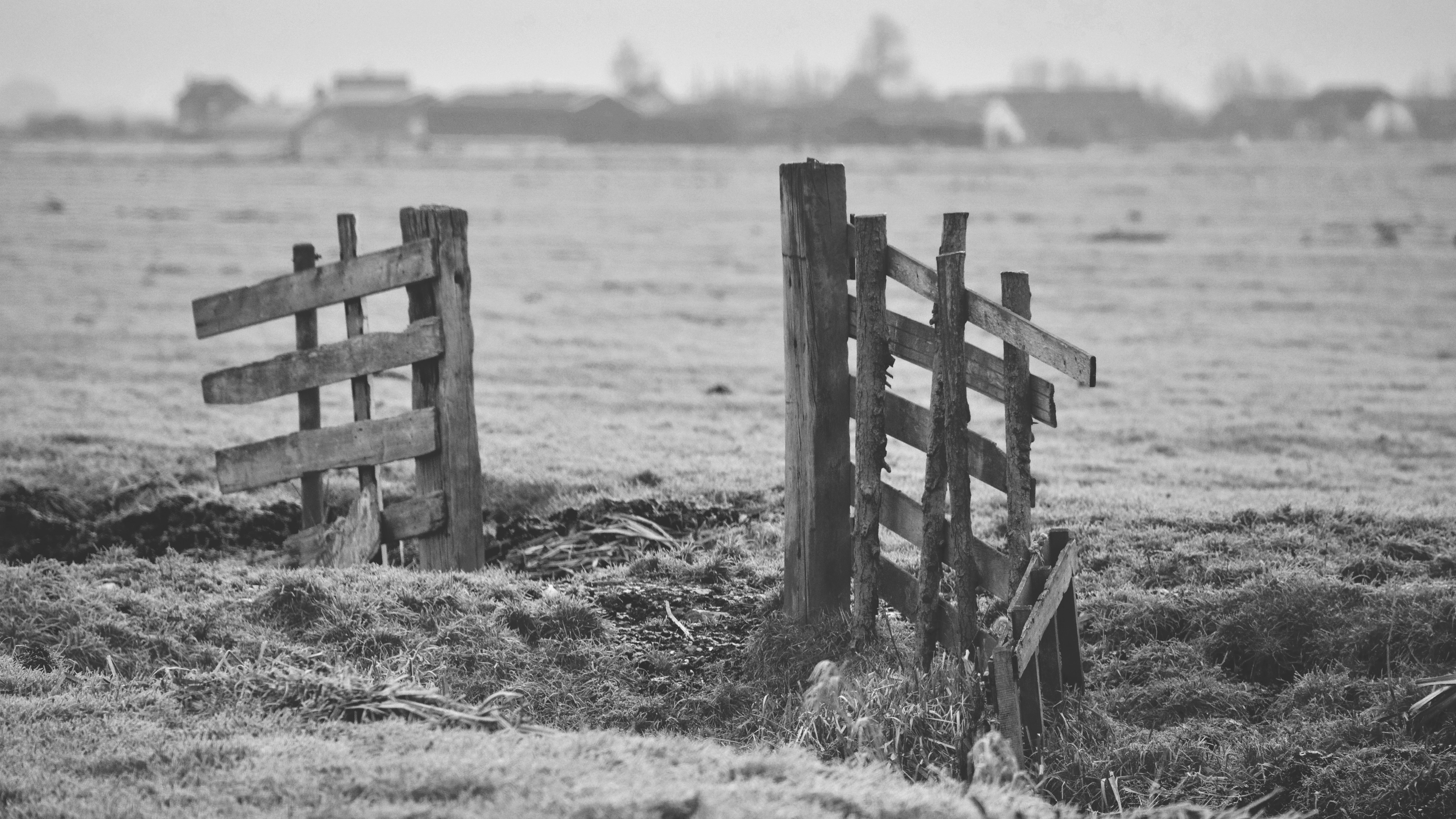 grayscale photo of wooden fence