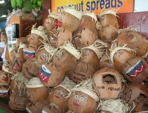 coconut husk dolls thumbnail