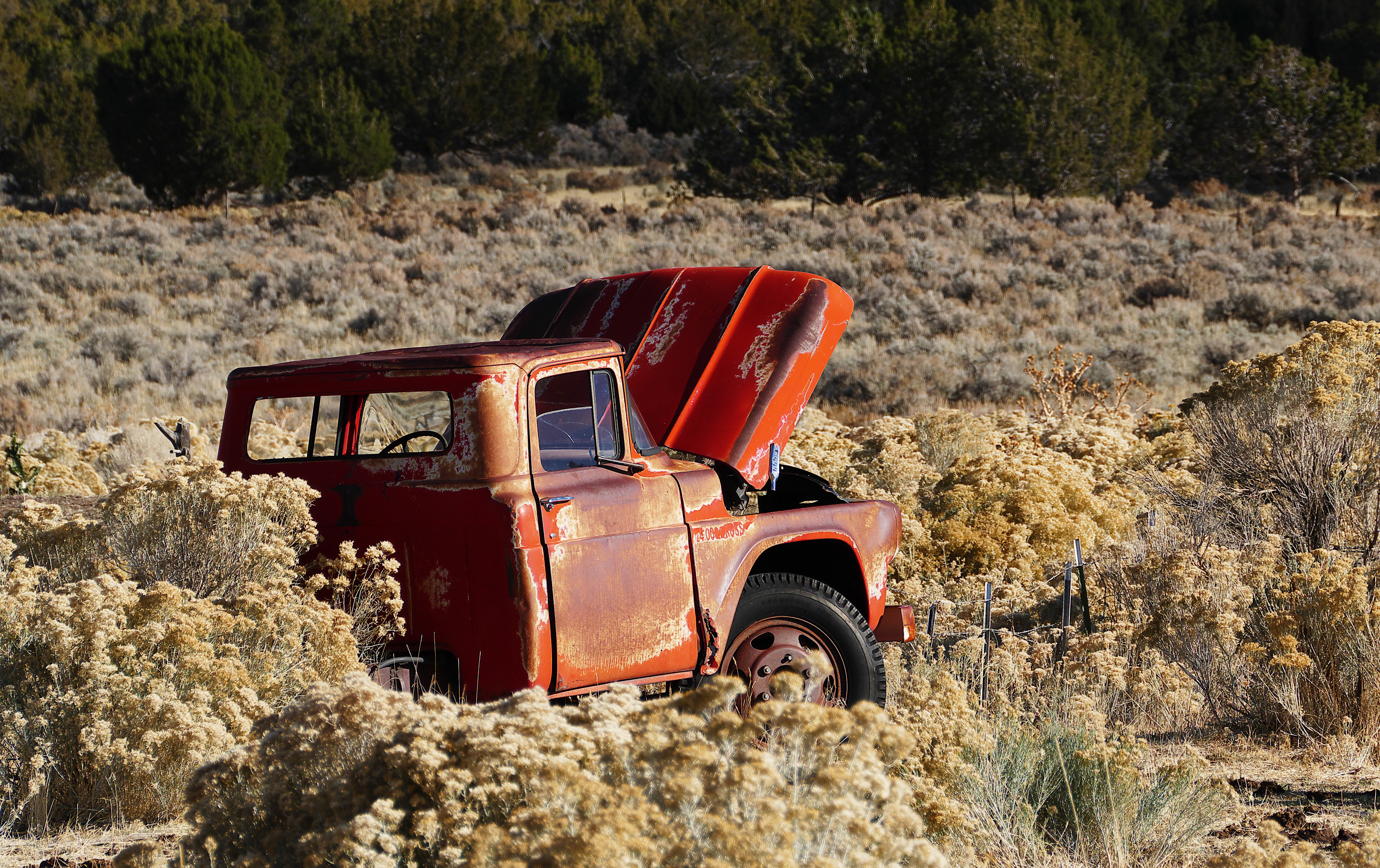 Abandoned red truck