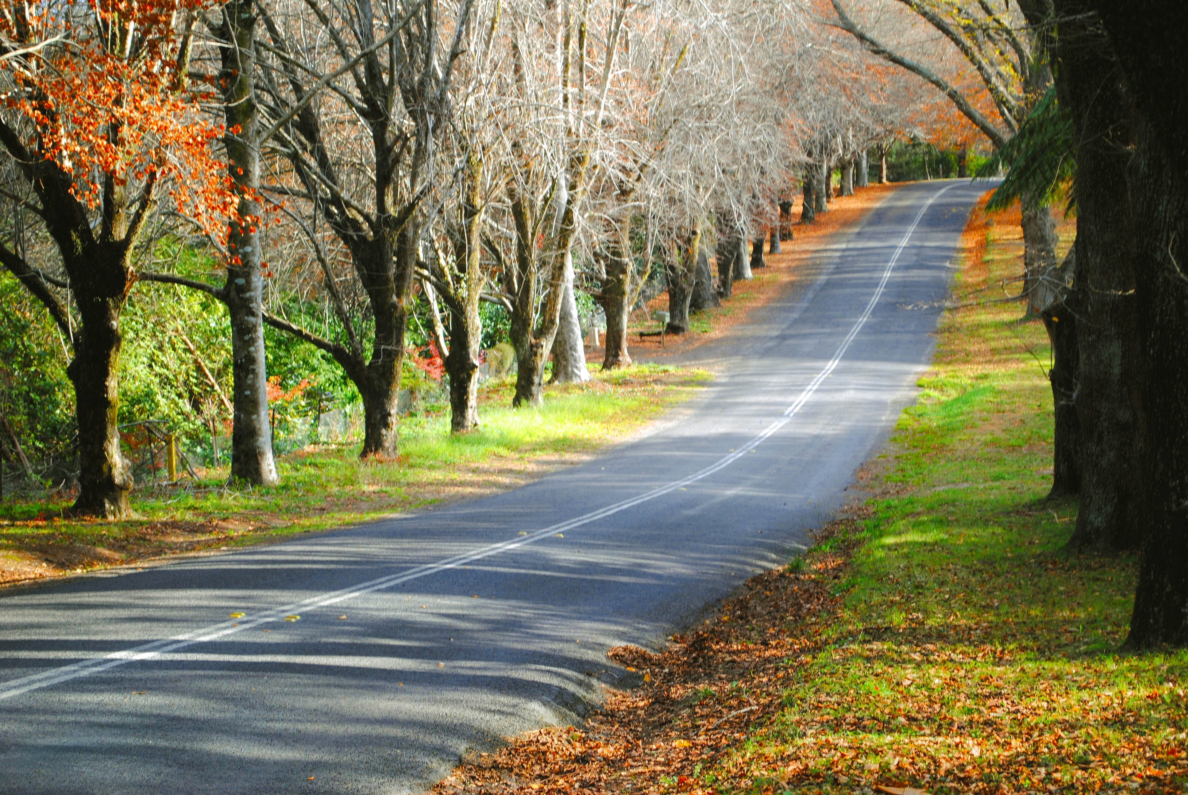 black concrete roadway during daytime