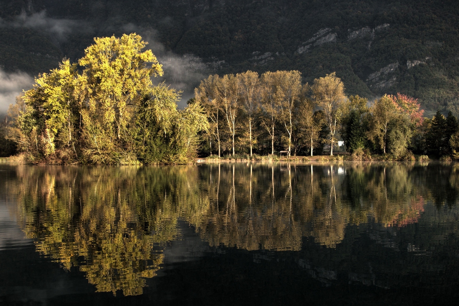 trees, river, reflection, dark
