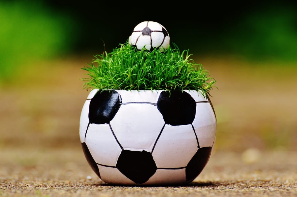soccer ball plant pot preview