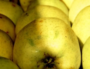 yellow oval fruit thumbnail