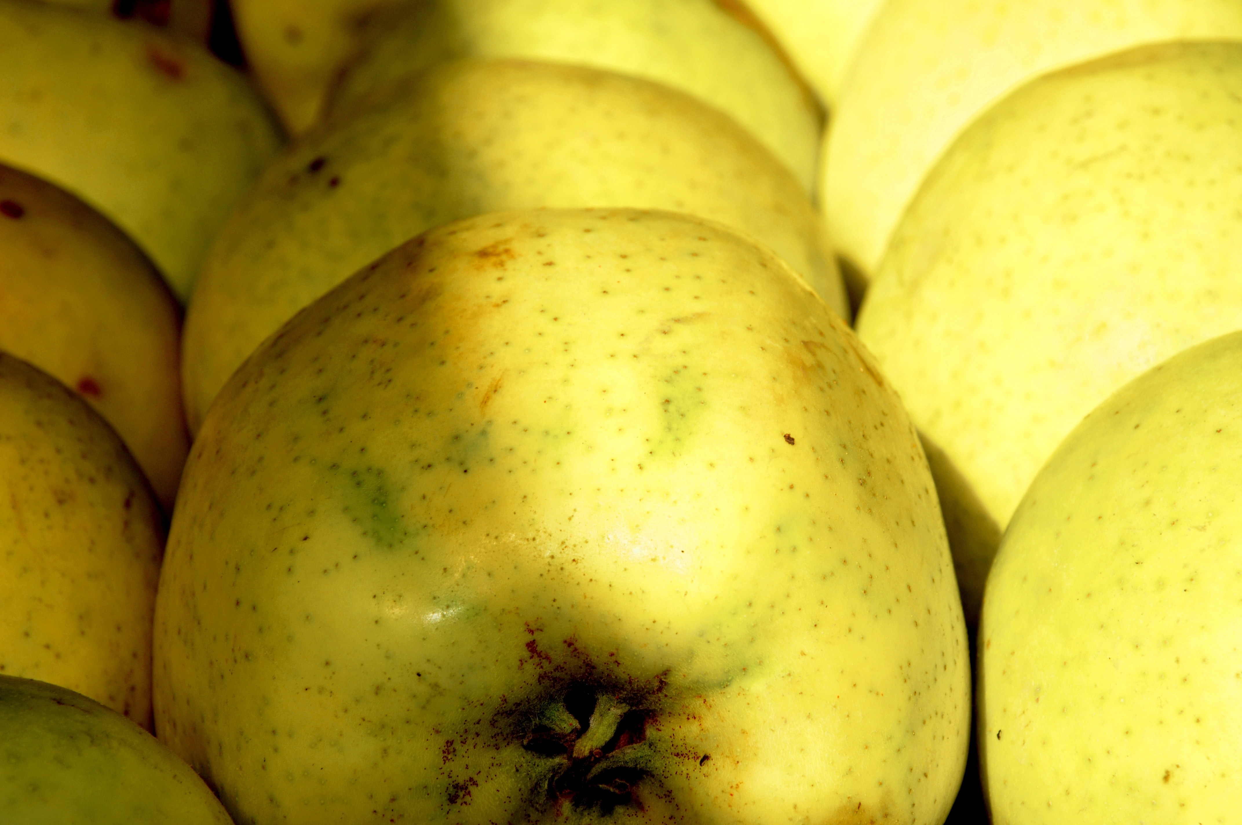 yellow oval fruit