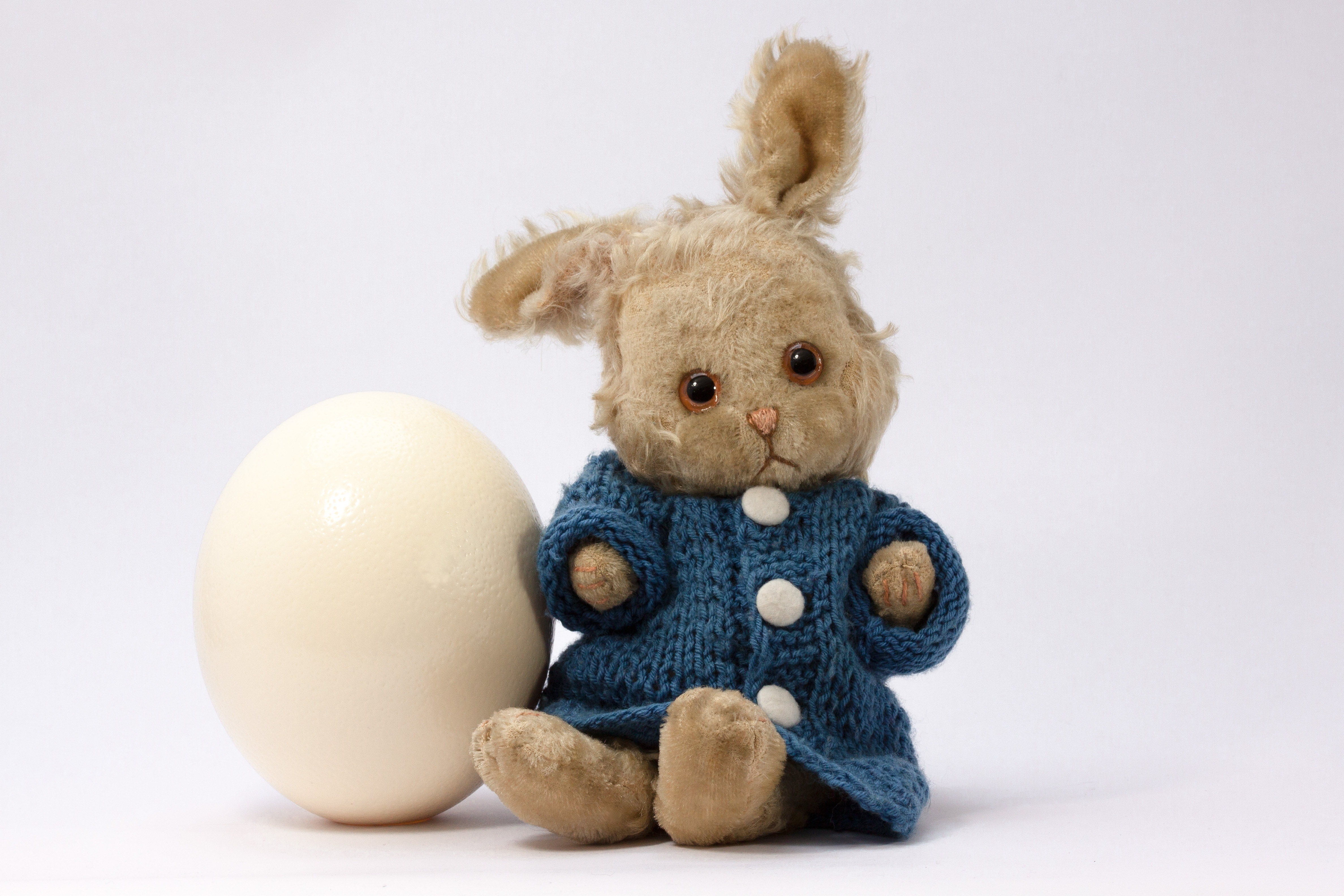 brown rabbit plush toybesides white egg