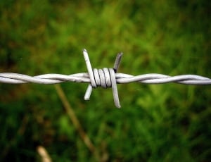 gray steel barbed wire thumbnail