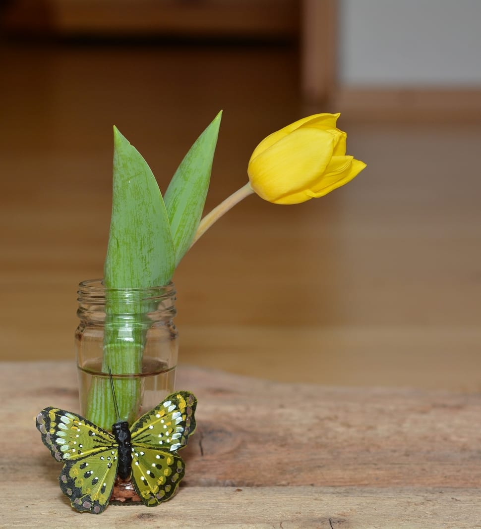 Vase, Flower, Tulip, Yellow Flower, wood - material, leaf preview