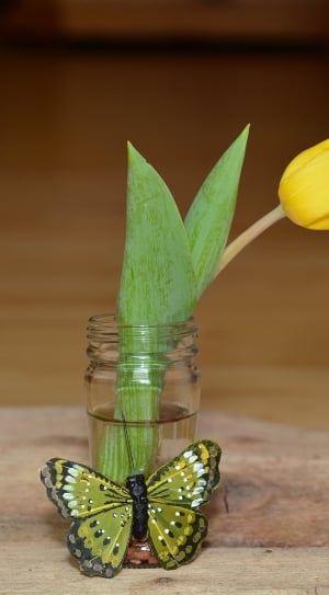 Vase, Flower, Tulip, Yellow Flower, wood - material, leaf thumbnail