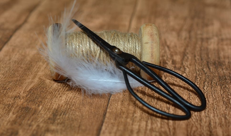 black metal shears, white feather, and roll of rope preview