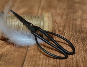 black metal shears, white feather, and roll of rope thumbnail