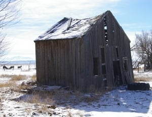 Barn, Aged, Old, Old Wood, Rural, Rough, winter, hut thumbnail