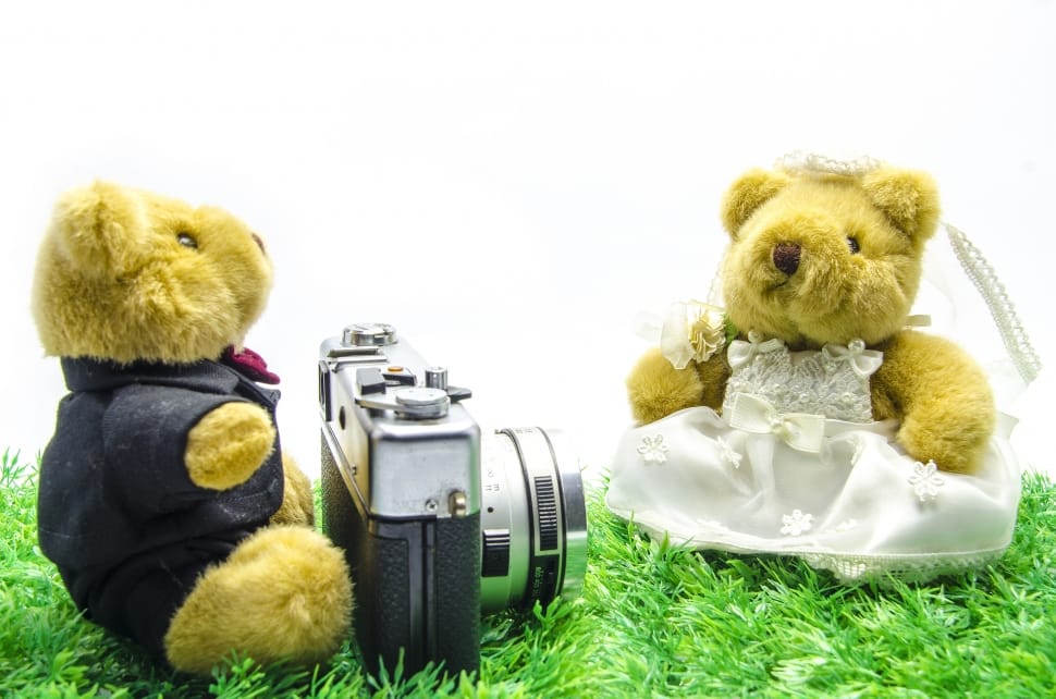 black and grey camera and 2 brown teddy bears preview