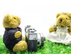 black and grey camera and 2 brown teddy bears thumbnail