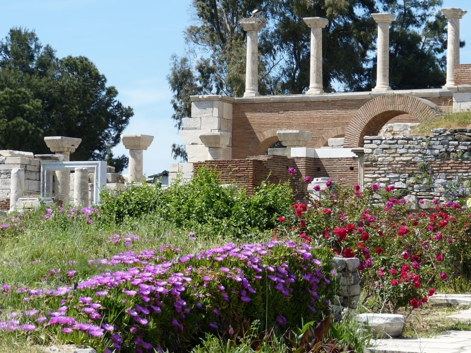 Antique, Antiquity, Pillar, Ephesus, flower, built structure preview