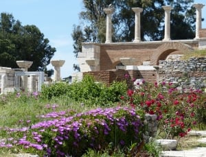 Antique, Antiquity, Pillar, Ephesus, flower, built structure thumbnail