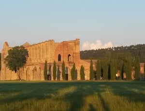 Tuscany, San Galgano, Italy, Abbey, architecture, tree thumbnail