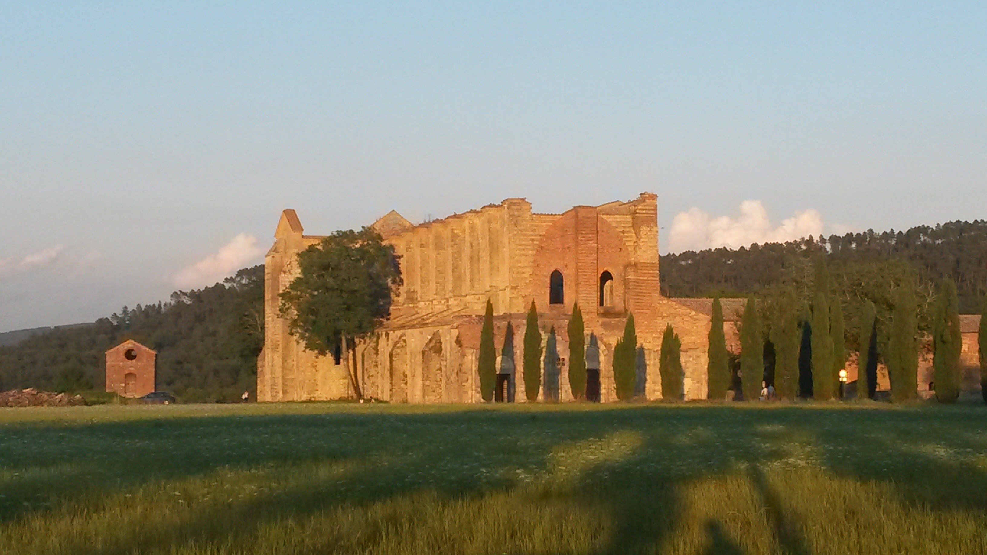 Tuscany, San Galgano, Italy, Abbey, architecture, tree