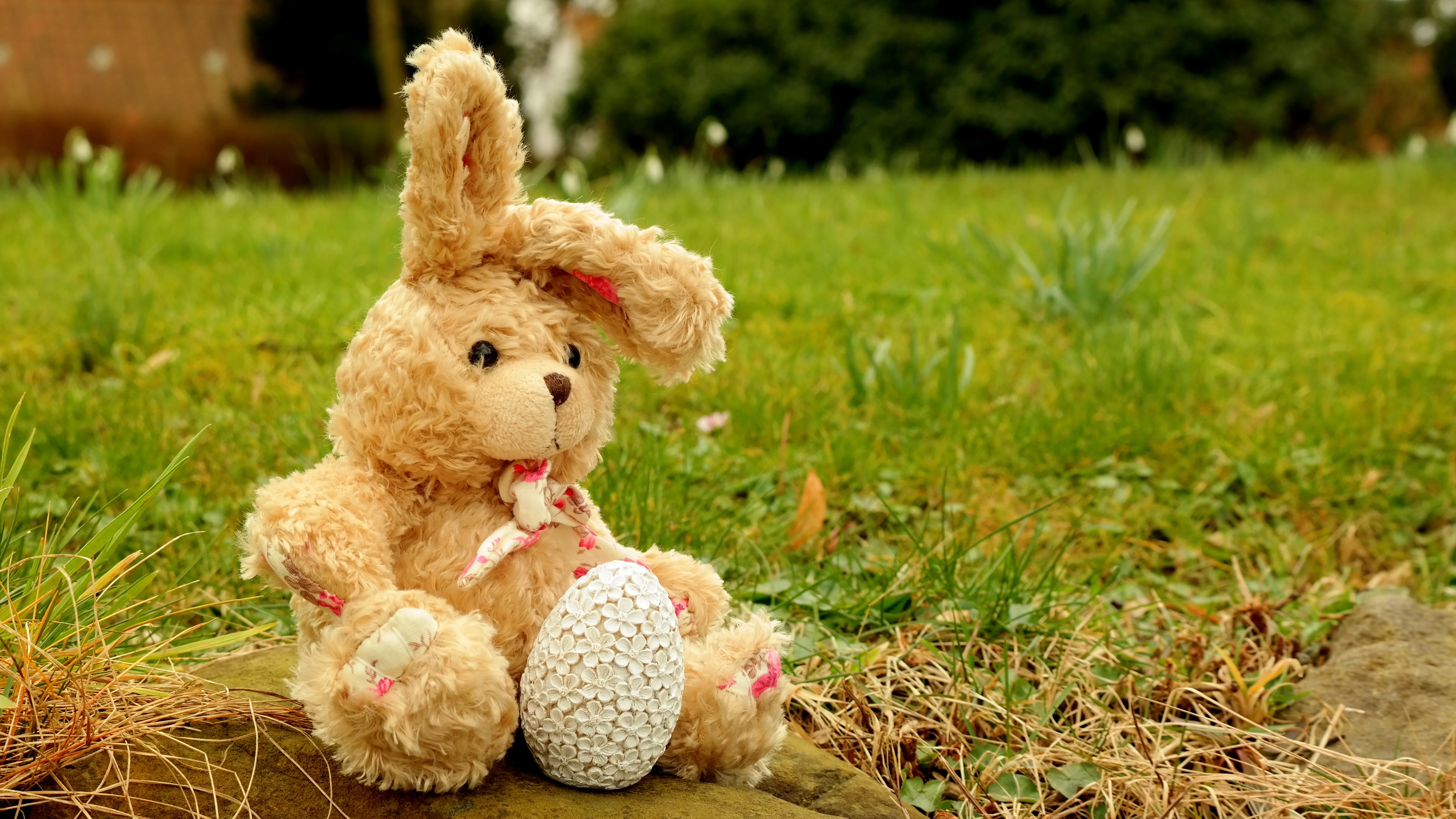 Hare, Stuffed Animal, Soft Toy, Fabric, teddy bear, stuffed toy