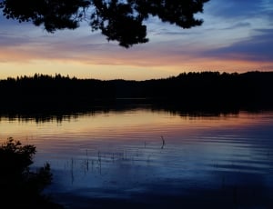 body of water with background of silhouette of trees thumbnail