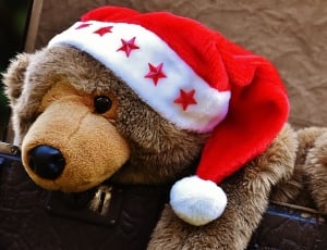 brown teddy bear plush toy with red and white santa claus hat thumbnail