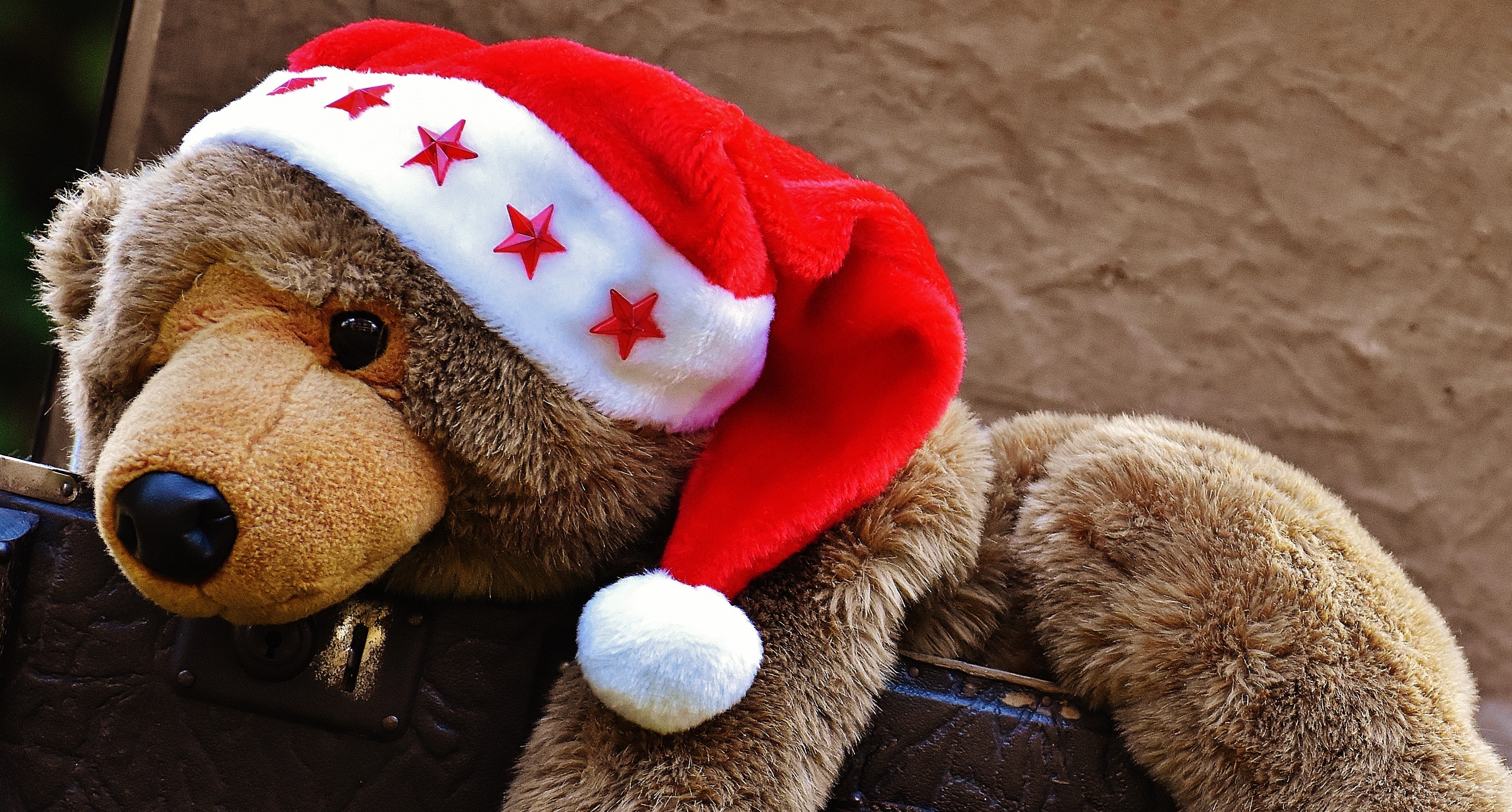 brown teddy bear plush toy with red and white santa claus hat
