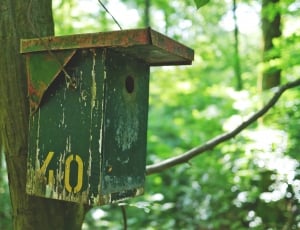 green and brown steel mailbox thumbnail