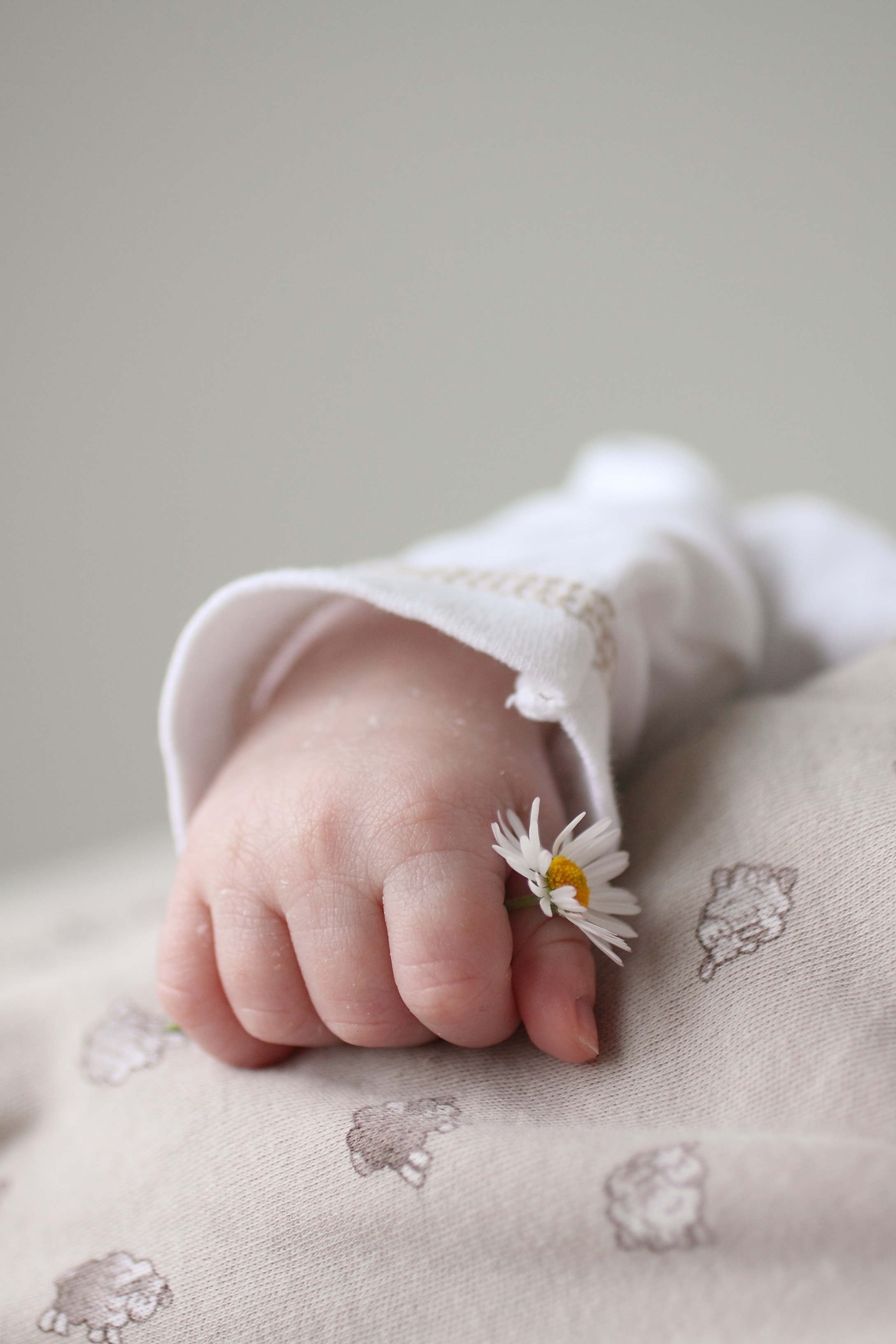 infant white long sleeve shirt and white flower