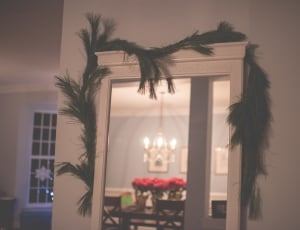 house, decoration, christmas, mirror, palm tree, tree thumbnail