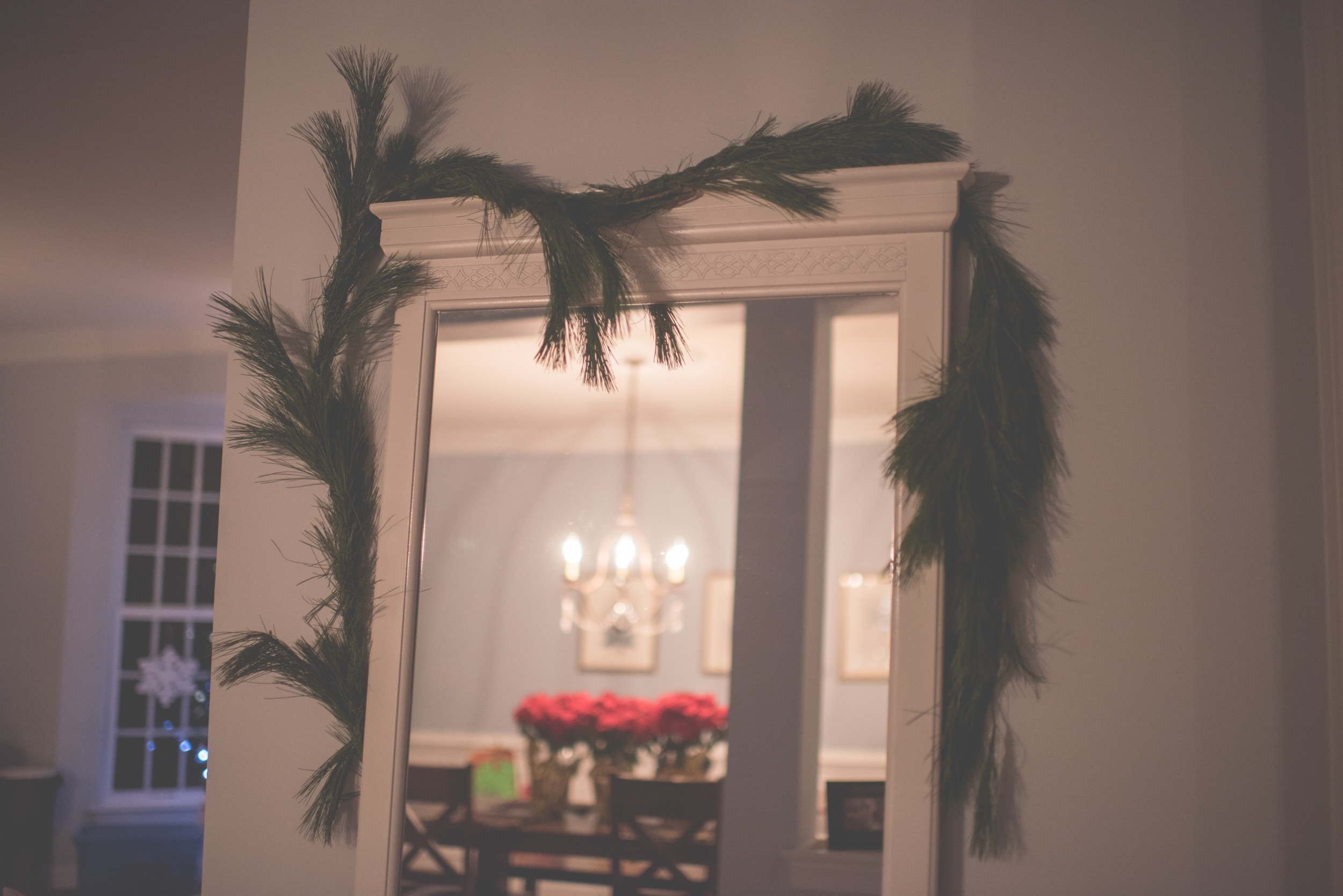 house, decoration, christmas, mirror, palm tree, tree