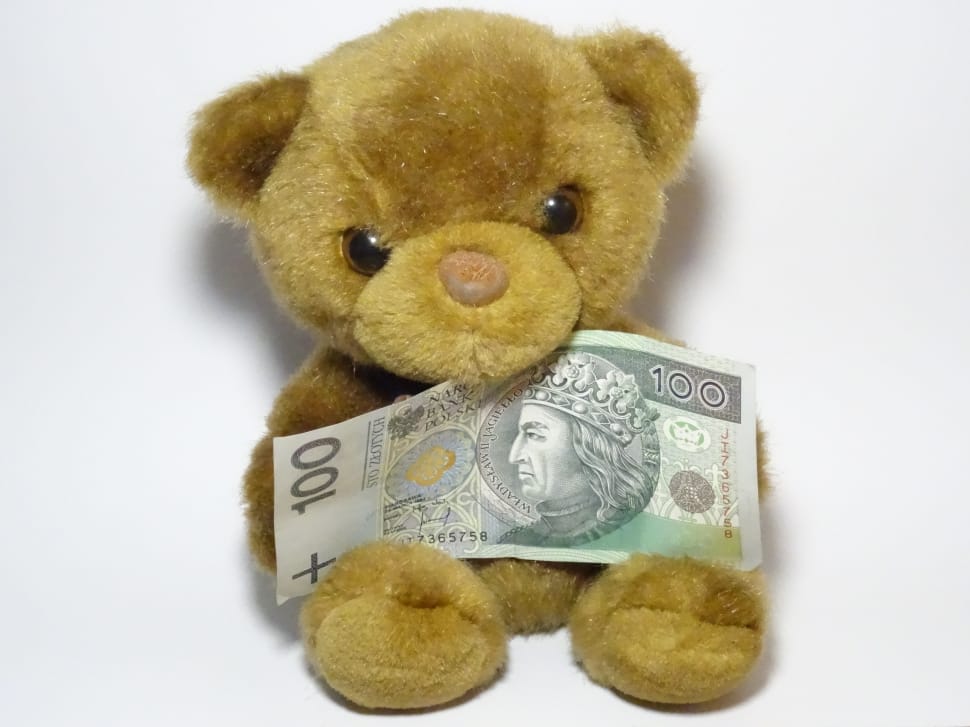 brown bear plush toy holding 100 banknote preview