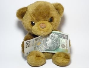 brown bear plush toy holding 100 banknote thumbnail