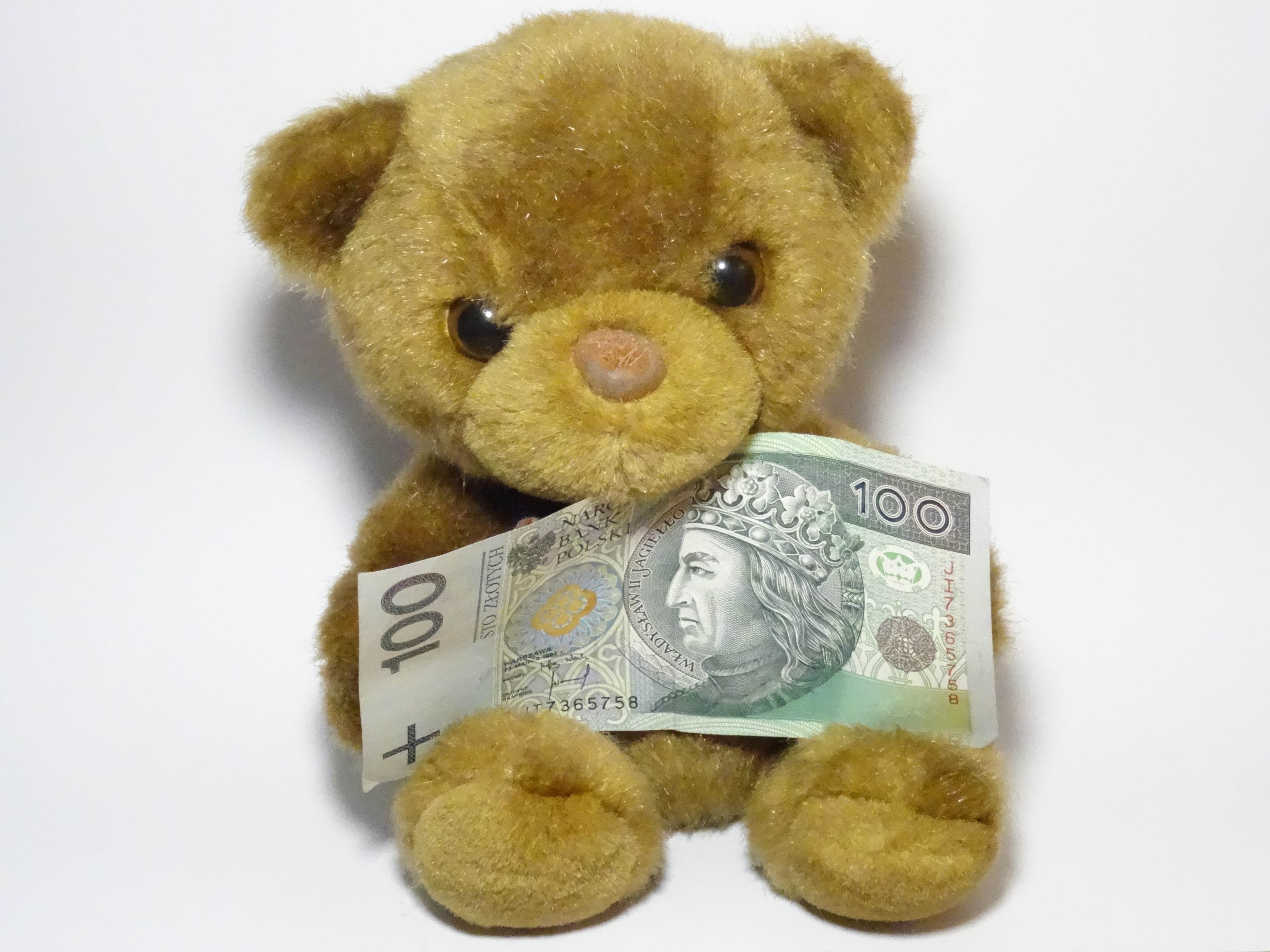 brown bear plush toy holding 100 banknote