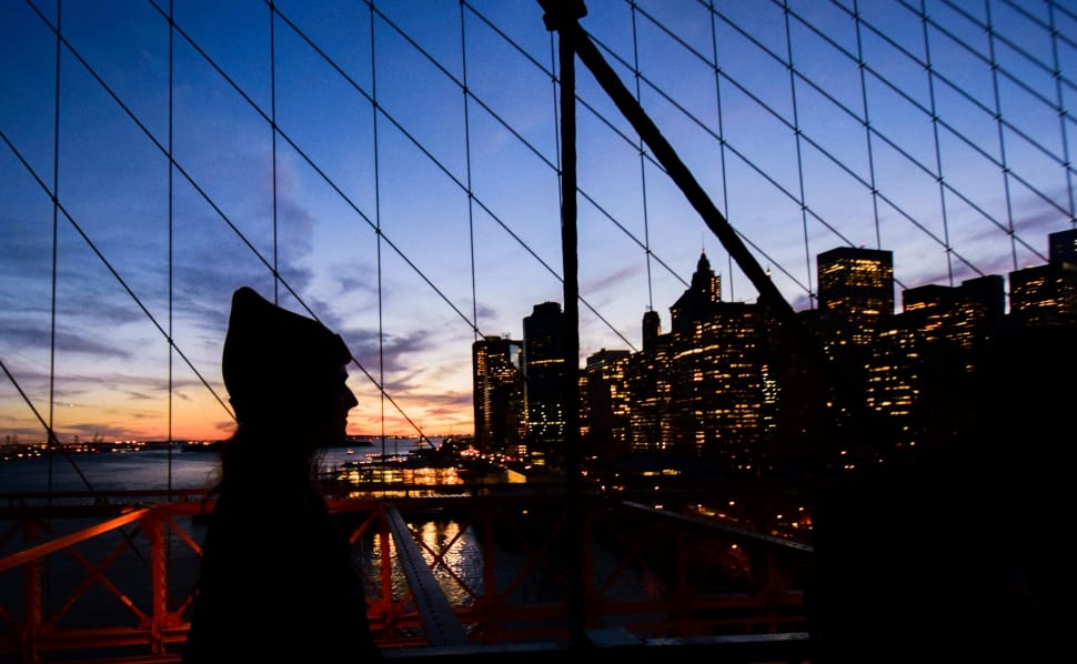 silhouette of woman standing facing city escape during night preview