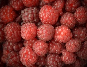 red berry fruit lot thumbnail