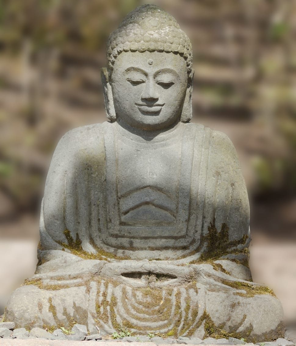 selective focus photography of Gautama Buddha statue preview