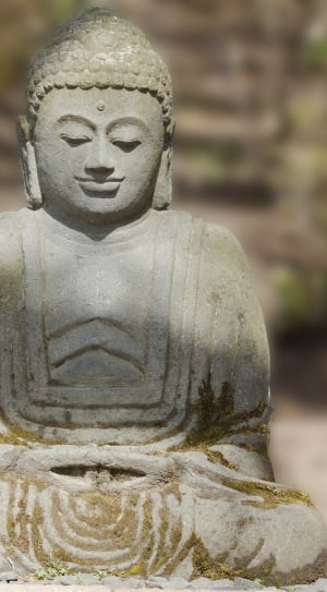 selective focus photography of Gautama Buddha statue thumbnail