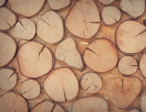 brown wooden log thumbnail