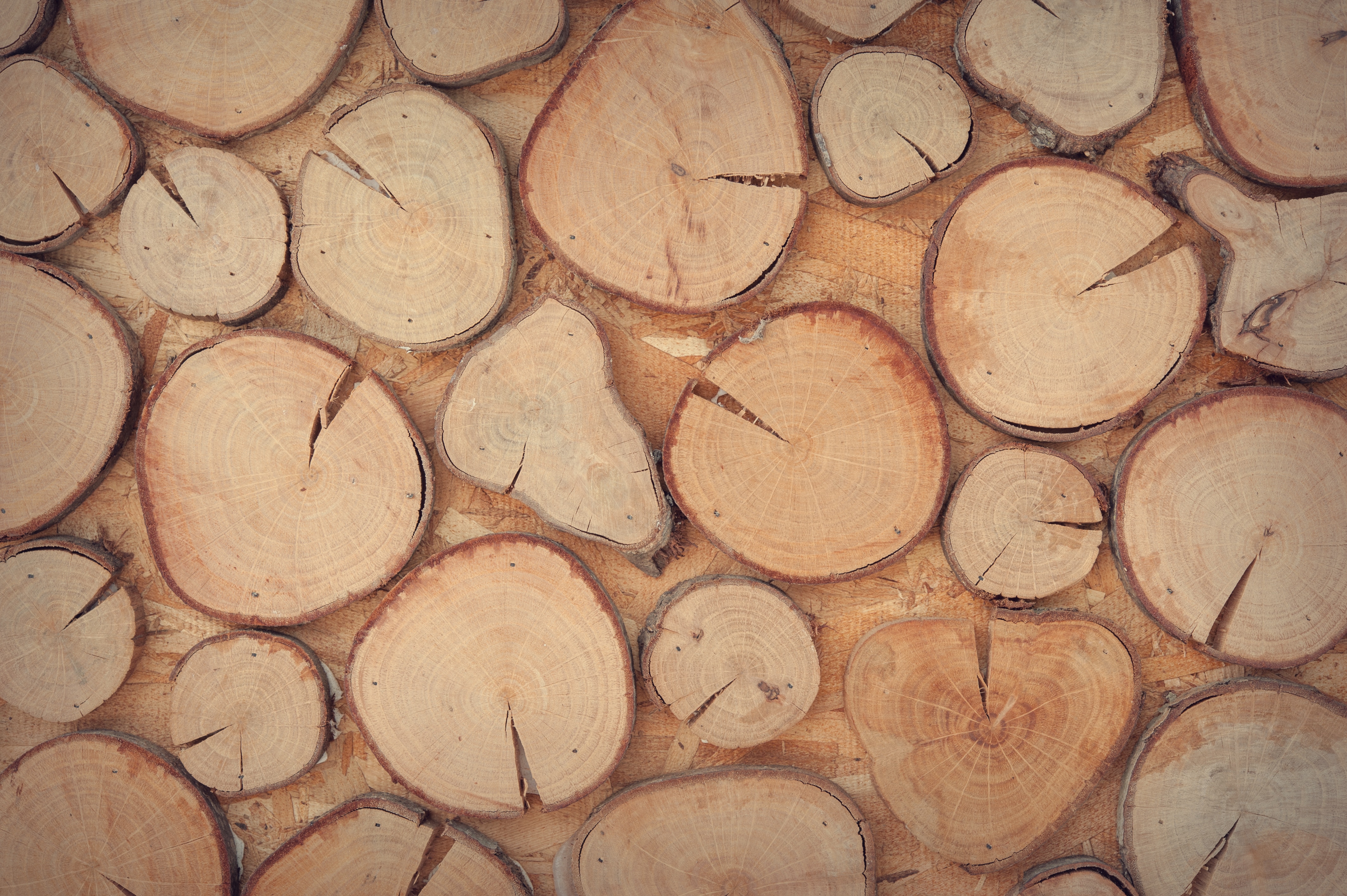 brown wooden log