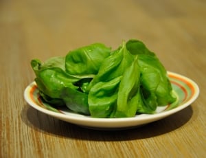 green leafy vegetable thumbnail