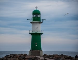 green and white light house and seagull thumbnail