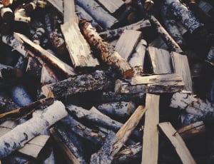 shallow focus photography of black and brown tree logs thumbnail