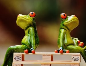 Friends, Sit, Pallets, Frogs, vegetable, healthy eating thumbnail
